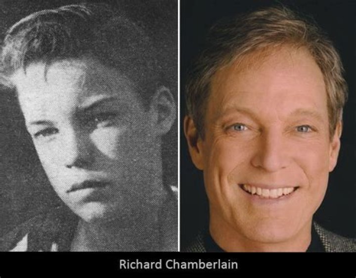 Kekayaan, Usia, Keluarga, Berat, Dan Cinta Richard Chamberlain