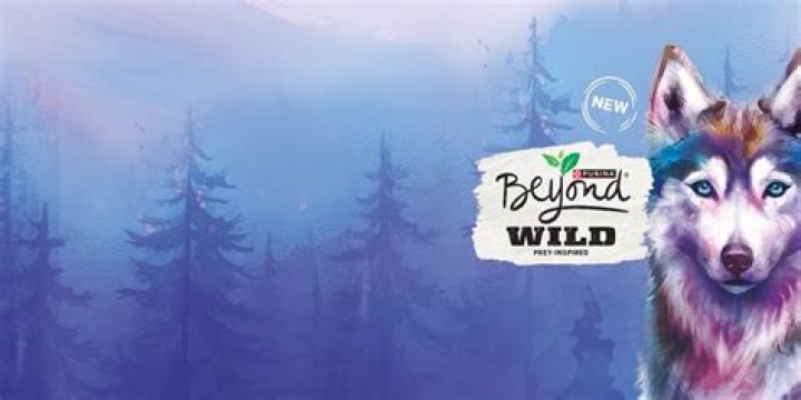 Maddy's Journey Beyond Wild 'N Out