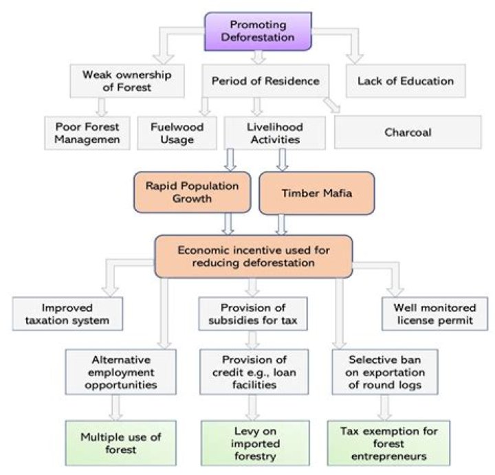 Margot Robbie's Parents And Their Role In Her Rise To Stardom