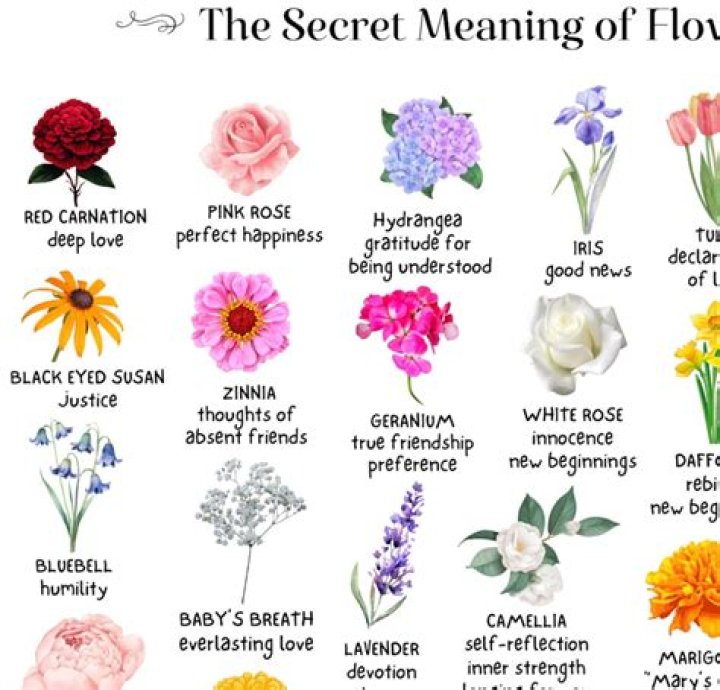 Michael Jackson's Children's Names And Their Hidden Meanings