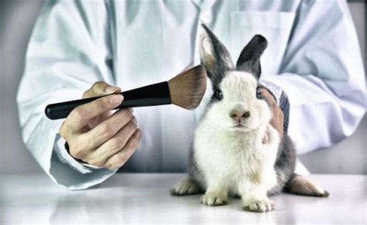 Milk Makeup's Stance On Animal Testing