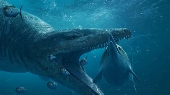 NASA's Frozen Megalodon Discovery Unveiled