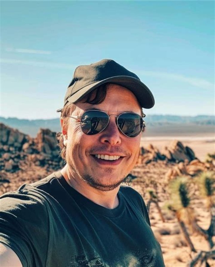 Net Worth And Career Insights