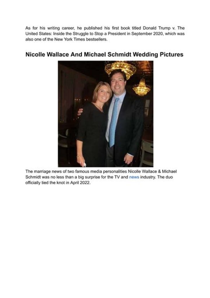 Nicole Wallace And Michael Schmidt's Net Worth