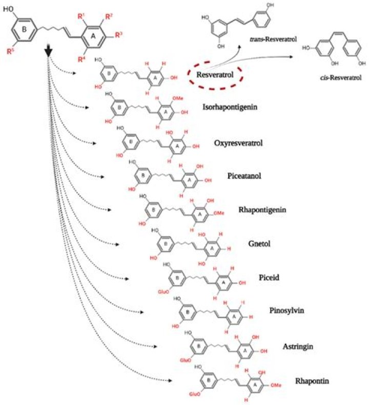 Secrets Of A Multifaceted Mogul