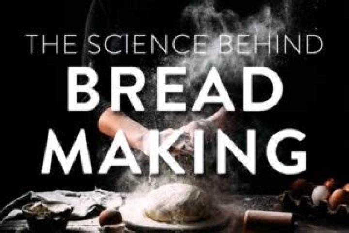 Secrets, Surprises, And The Science Behind It