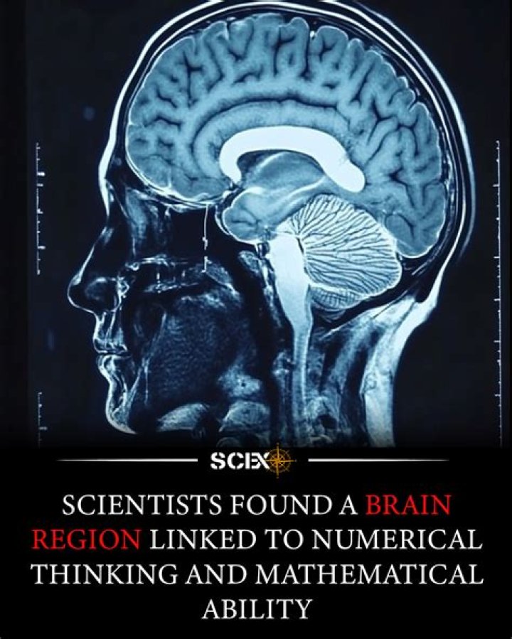 Surprising Revelations And Intriguing Implications