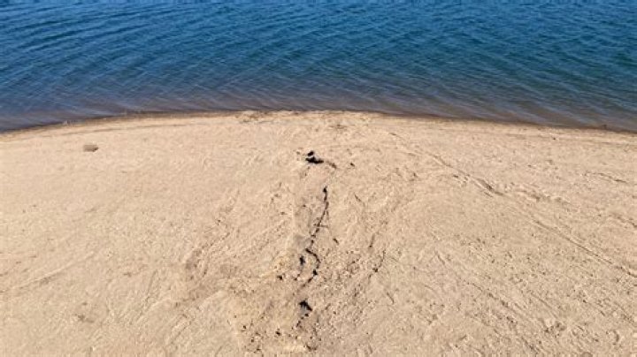 The Kiely Rodni Cover-Up Unveiled