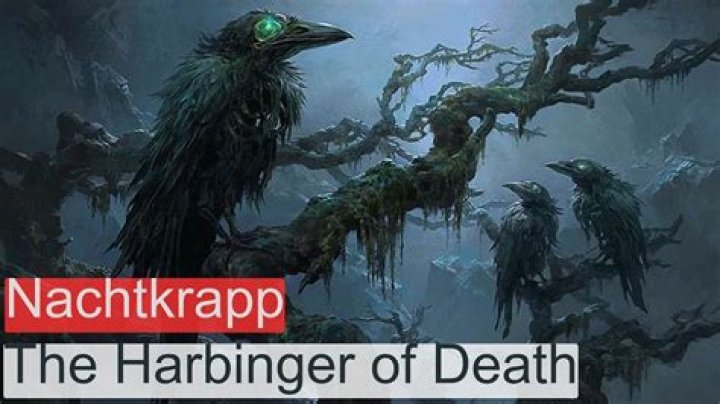 The Mysterious Bird: A Harbinger Of Death