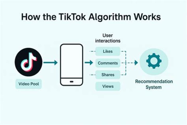 TikTok's Intelligent Algorithm: Always On The Move