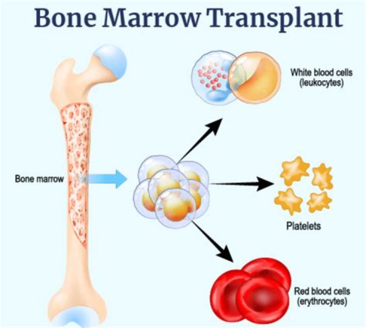 Transform Your Skin: The Amazing Effects Of Bone Broth