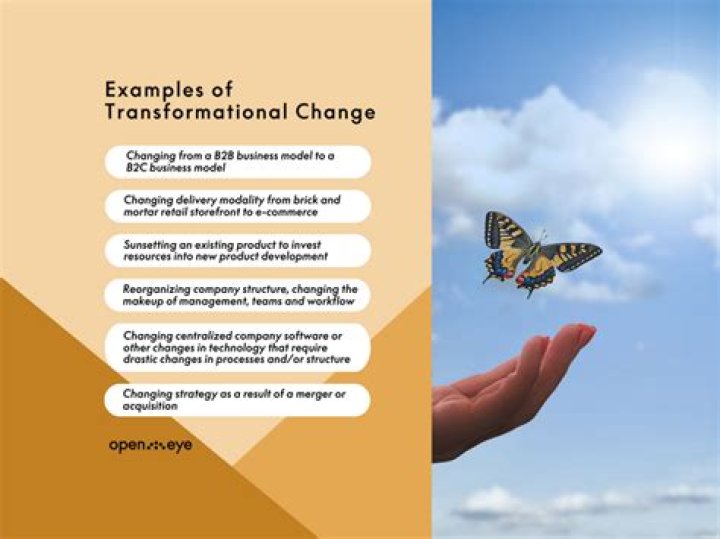 Transformational Insights For Growth And Impact