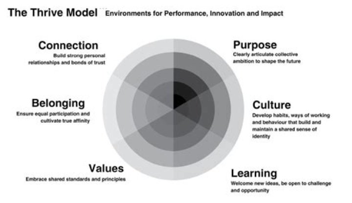 Transformative Insights For The "Thrive" Niche