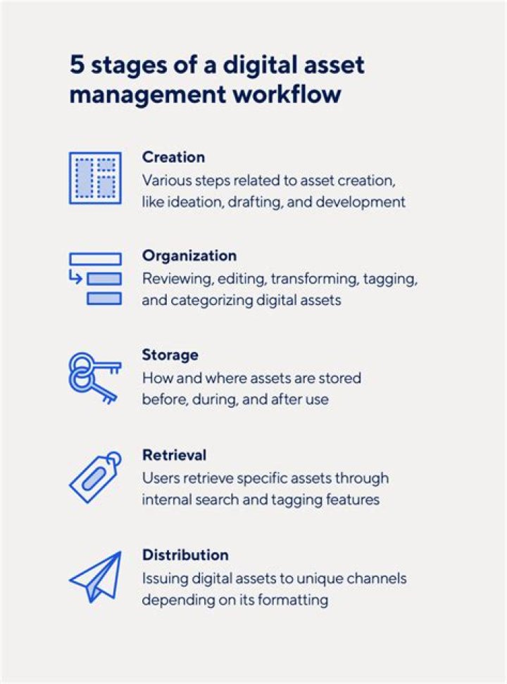 Ultimate Guide To DAMR: Exploring The Dynamics Of Digital Asset Management