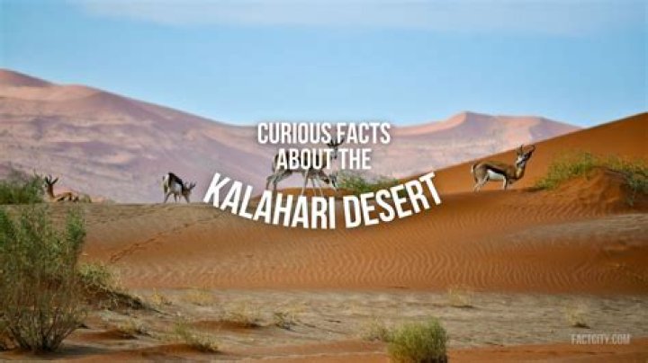 Uncover Hidden Facts And Inspiring Insights