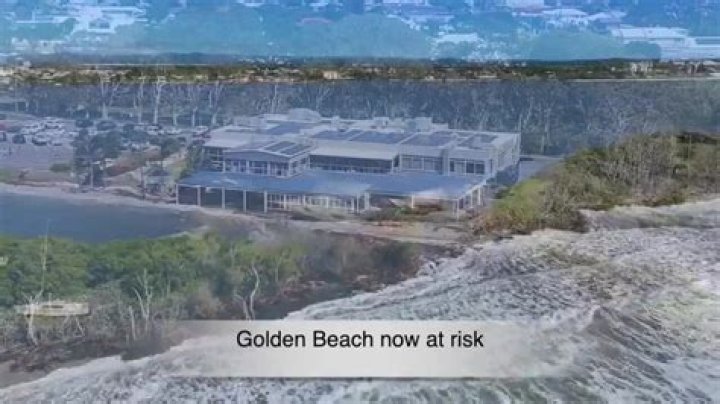 Uncover The Breakthroughs: Linda Staab's AI Odyssey