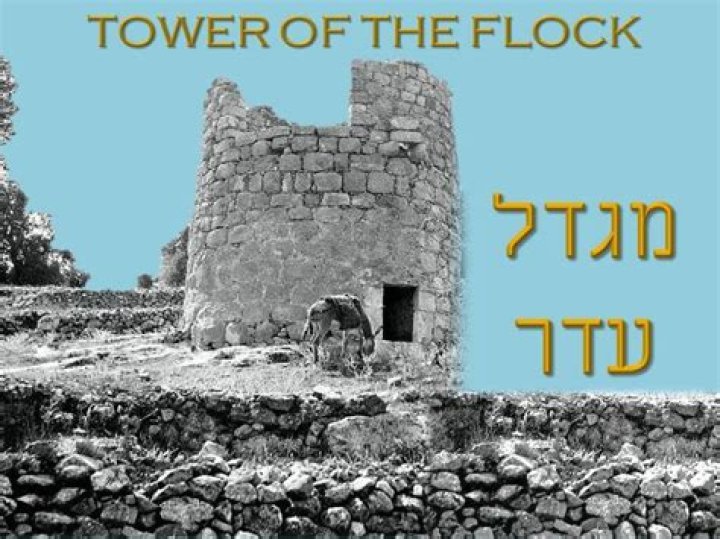 Uncover The Secrets Behind Morris Chestnut's Towering Presence