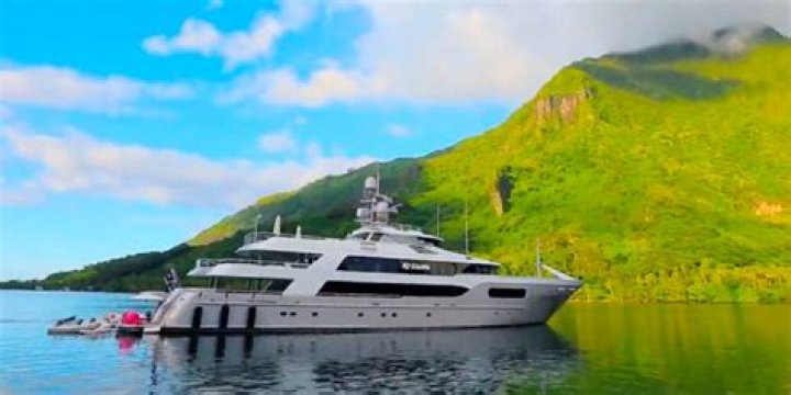 Uncover The Secrets Of Volleyball Star Mila Kolomeitseva's Success