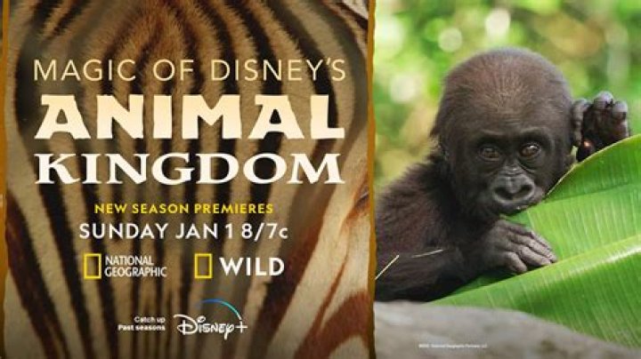 Uncover The Untold Family Story Behind The "Animal Kingdom" Star