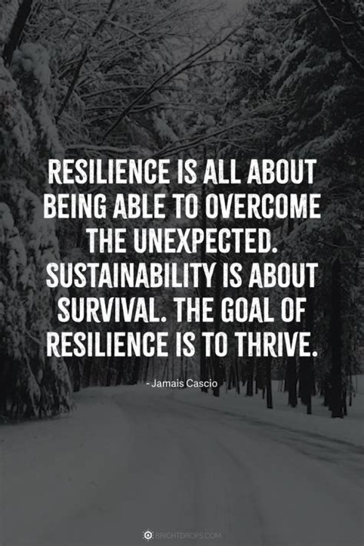 Uncovering Resilience, Creativity, And Inspiration