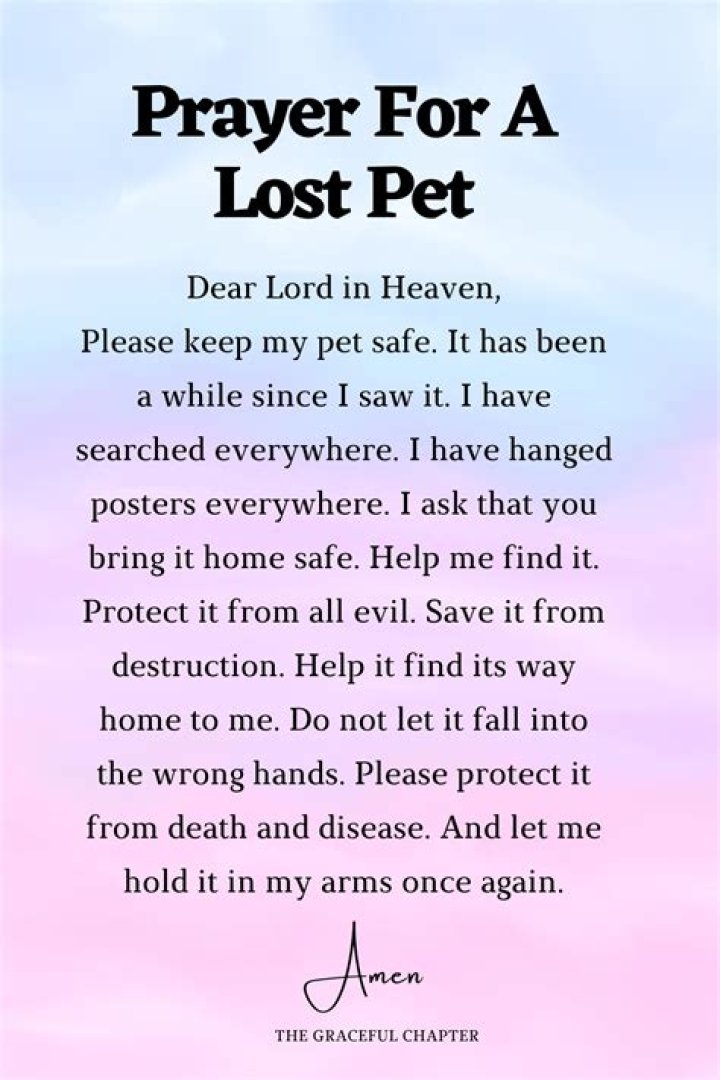 Uncovering The Power Of Prayer For Deceased Pets