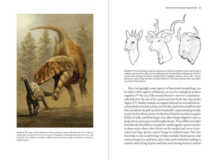 Uncovering The Secrets Of Rob Lowe's Age: Discoveries And Insights