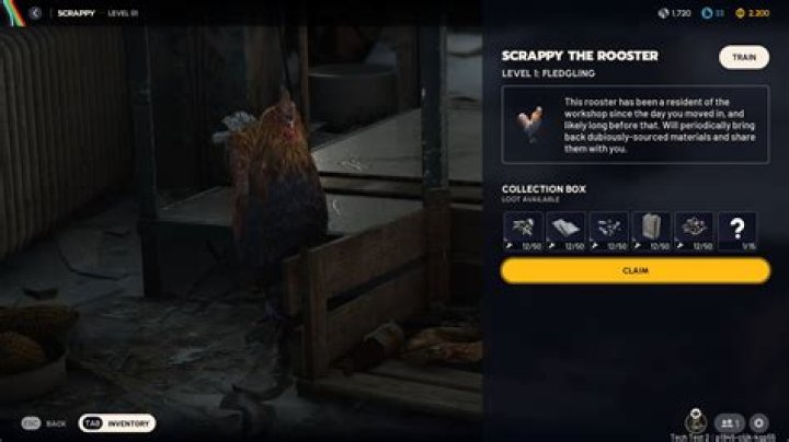 Unlock The Secrets Of Scrappy Net Worth: Discoveries And Insights Await