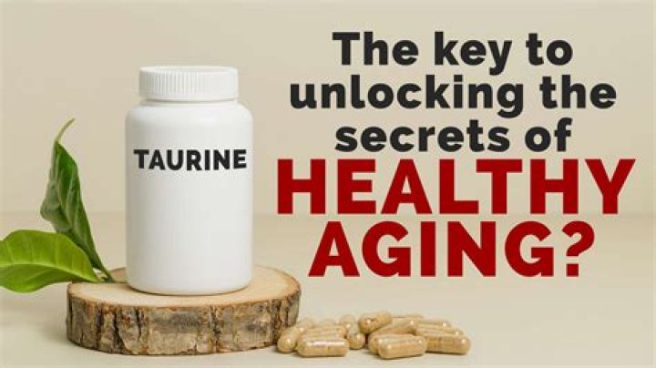 Unlocking The Secrets Of Healthy Aging