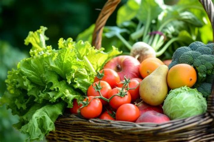 Unlocking The Secrets Of Sustainable Nutrition