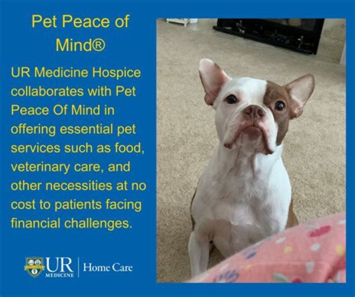Unlocking The Secrets To Happy Pet Peace Of Mind