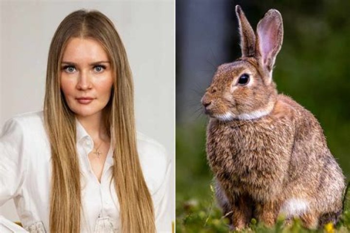 Unmasking The Illusions: Was Anna Delvey Really Rich?