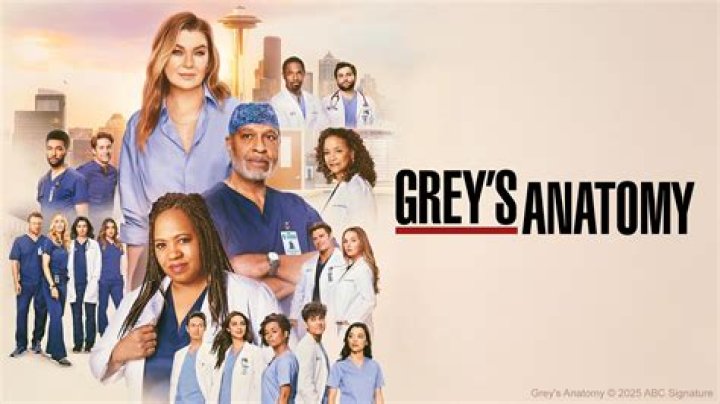 Unraveling The Age Mystery: How Old Is Alex In Grey's Anatomy?