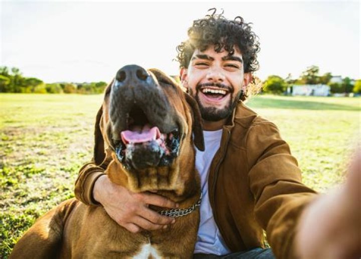 Unraveling The Factors Behind Jack Black's Weight