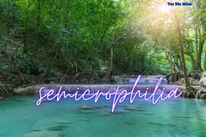 Unraveling The Intriguing World Of Steven Weber's Relationships