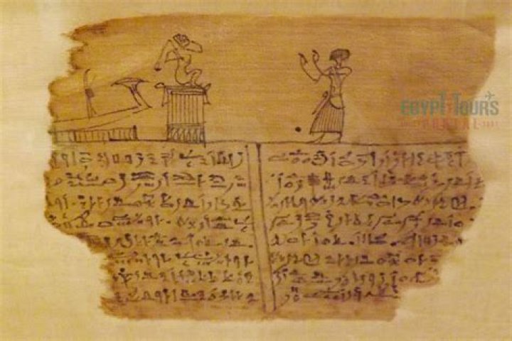 Unraveling the Search: Is Matthew Foley Husband a Figure from Ancient Texts?