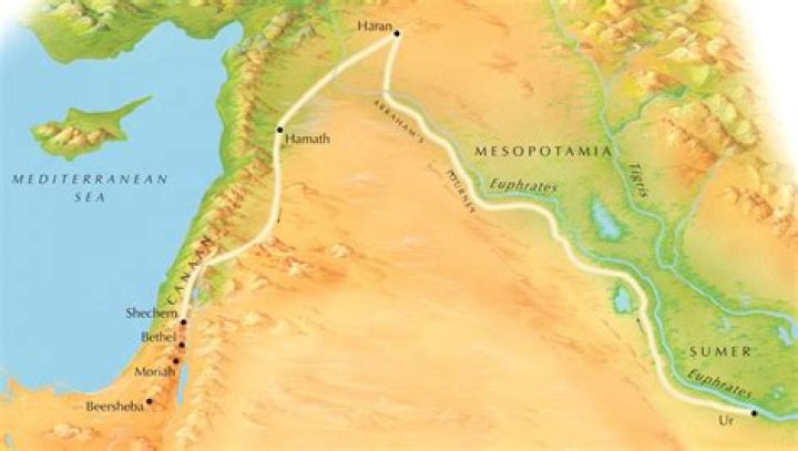 Unveiling Alyssa Lynch's Journey: From Determination To Domination