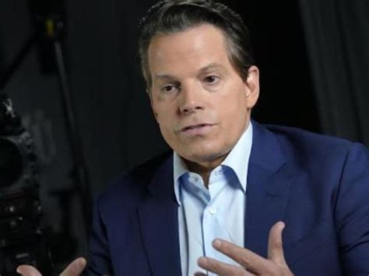 Unveiling Anthony Scaramucci's Net Worth, Wiki, Age, Weight, And More