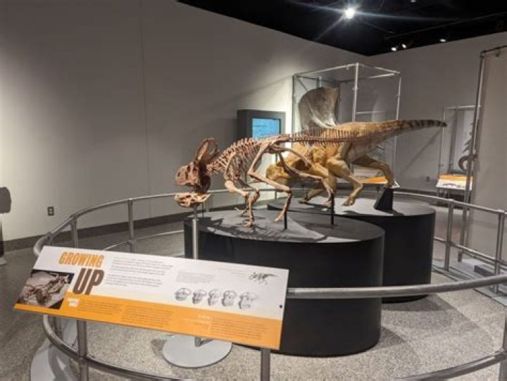 Unveiling Beverley Ann Stuart: Discoveries And Insights Await