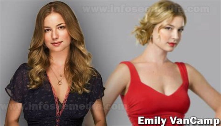 Unveiling Emily VanCamp's Net Worth: A Journey Of Success