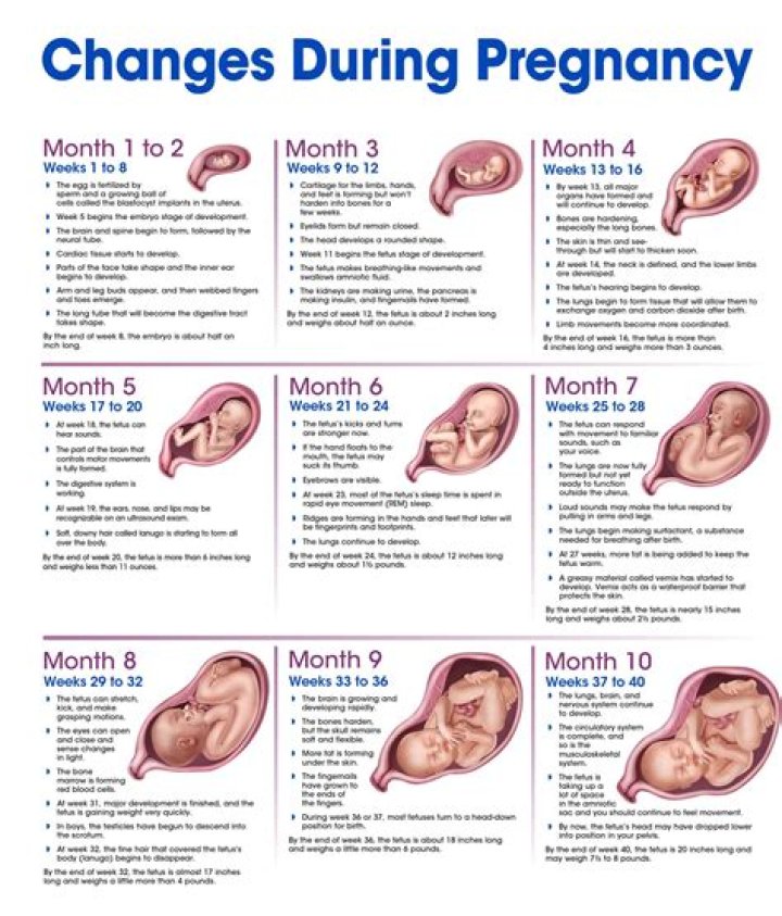 Unveiling Grace And Radiance: Katharine McPhee's Pregnancy Journey