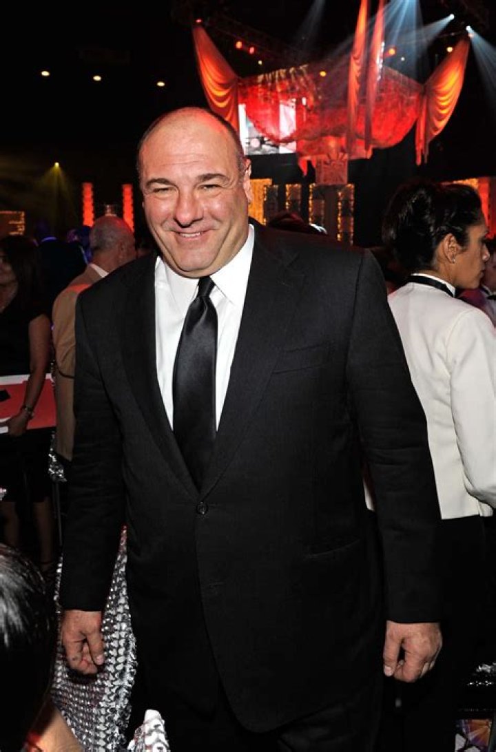 Unveiling James Gandolfini's Life, Physique, And Legacy