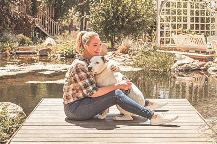 Unveiling Katherine Heigl's Net Worth: Discoveries And Insights