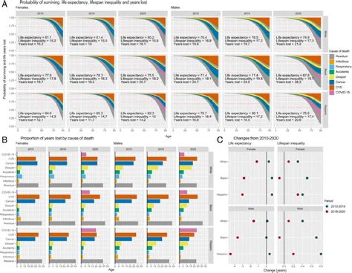 Unveiling Laura Jarrett's Race And Ethnicity: Discoveries And Insights