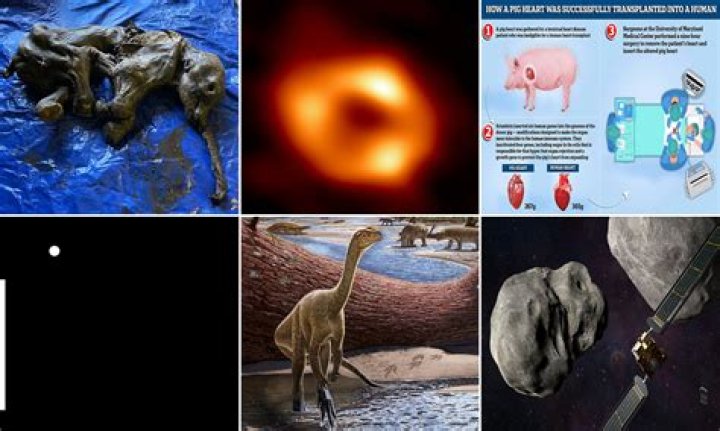 Unveiling Mike Wolfe's Health Secrets: Discoveries And Insights