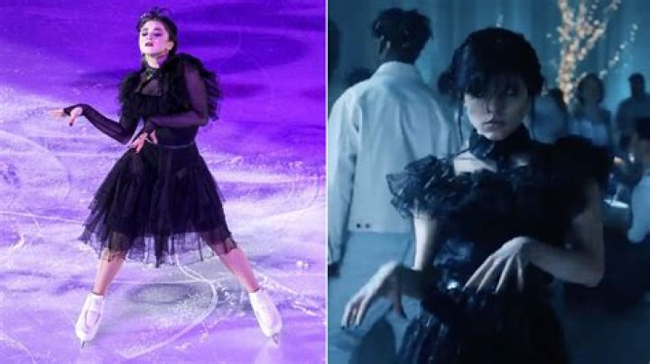 Unveiling The Dance Of Resilience: From Disaster To Delight