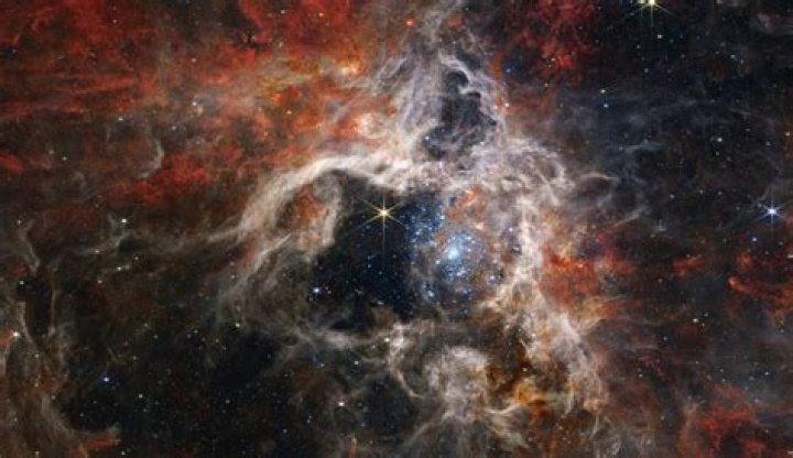 Unveiling The Enigmatic Mariamstar: Discoveries And Insights Revealed