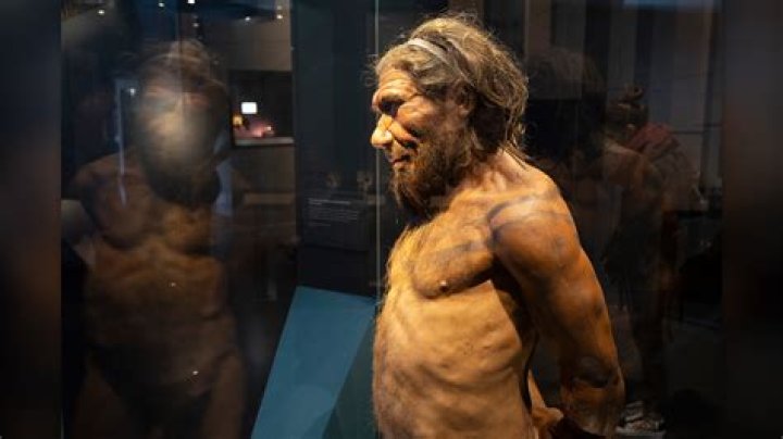 Unveiling The Inspiring World Of Edneris Espada Figueroa: Discoveries And Insights