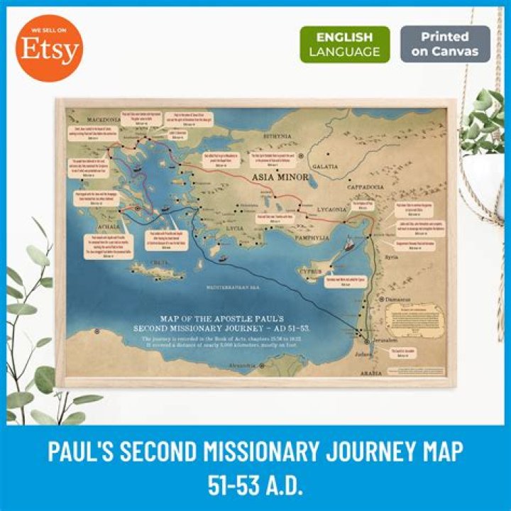 Unveiling The Journeys: Where Are They Now