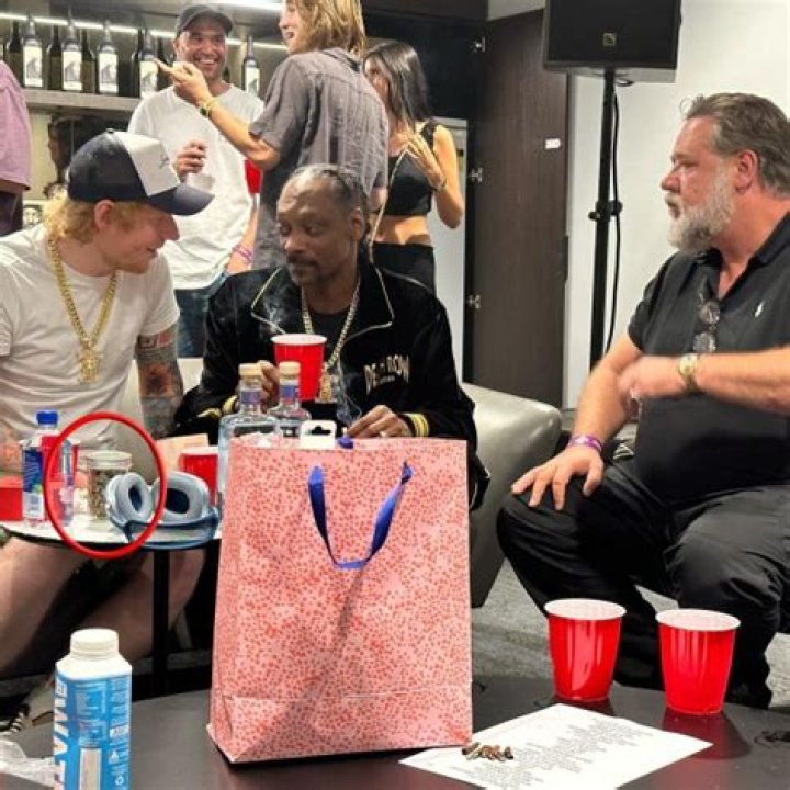 Unveiling The Magic Behind "Snoop Dogg Parties Backstage With Ed Sheeran"