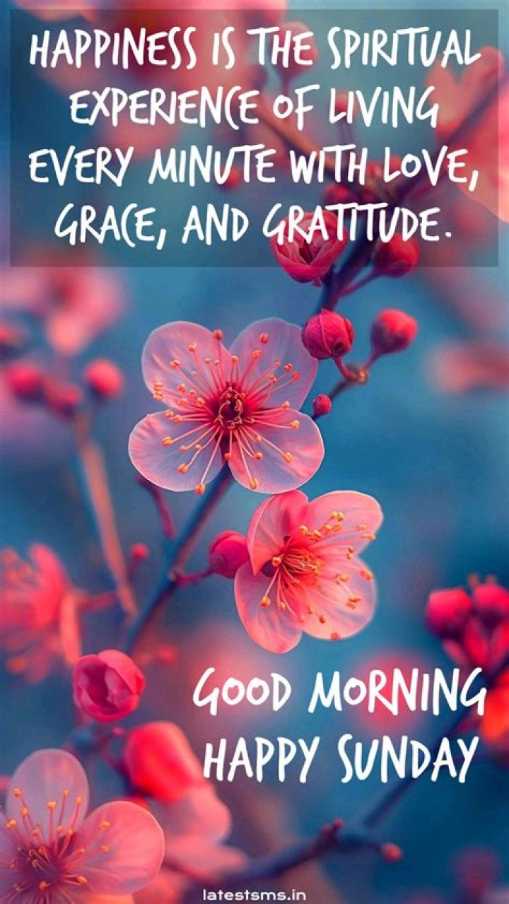Unveiling The Power Of "Happy Sunday Good Morning Messages": Discoveries And Insights